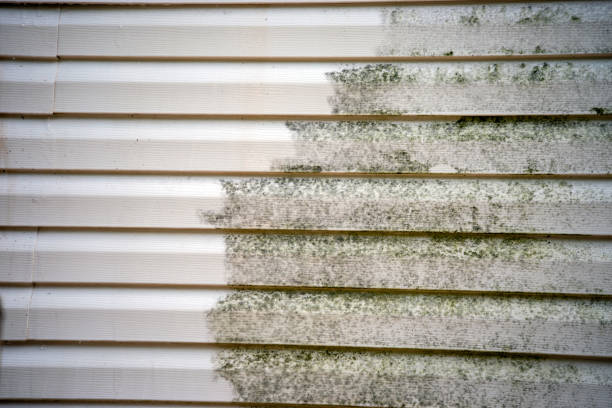 Best Siding Removal and Disposal  in Whitesboro, NJ